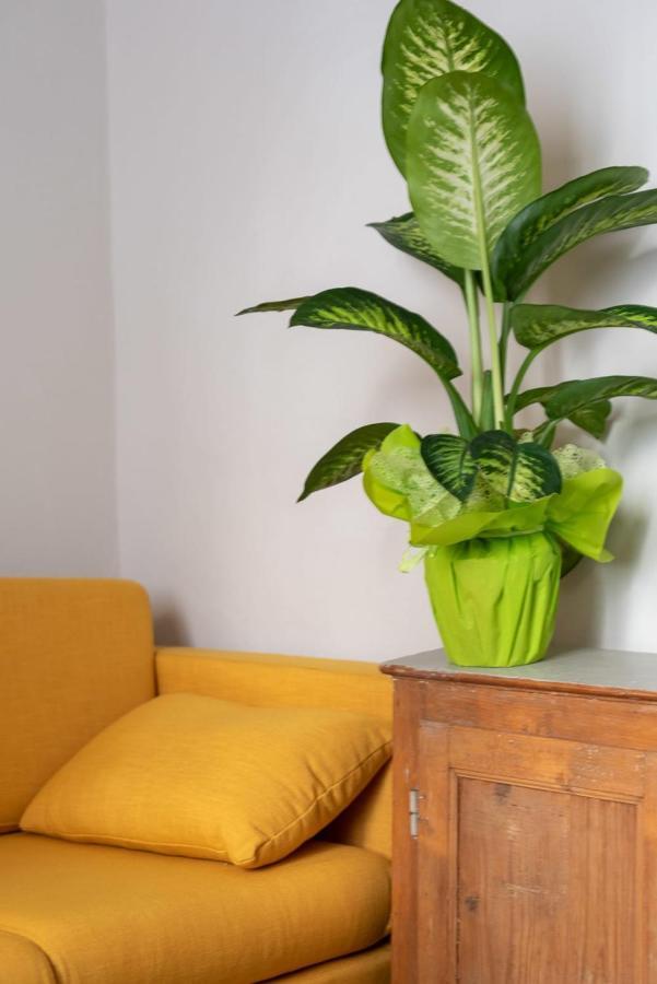 San Zanobi Family Suite In פירנצה מראה חיצוני תמונה